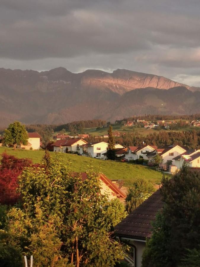Apart Hotel Near Lucerne Ruswil Bagian luar foto